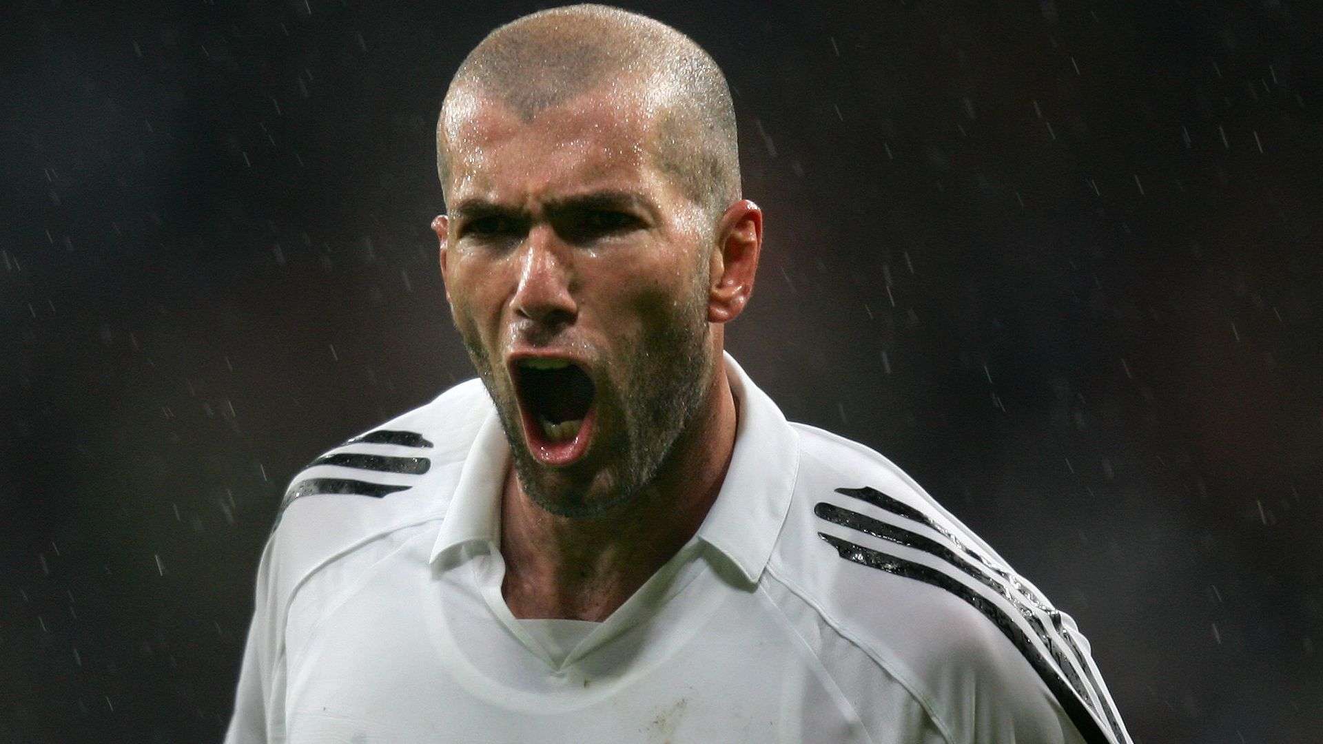 了宝贵的一 了宝贵的一